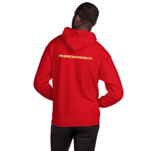 Load image into Gallery viewer, IBMS Unisex Hoodie (Small Logo)
